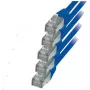 Võrgukaabel S/CONN RJ45-RJ45 m-m 0,5m ShiverPeaks 75711-H0.5B-SET5