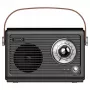 Kaasaskantav raadio Savio RS-01 analoog must