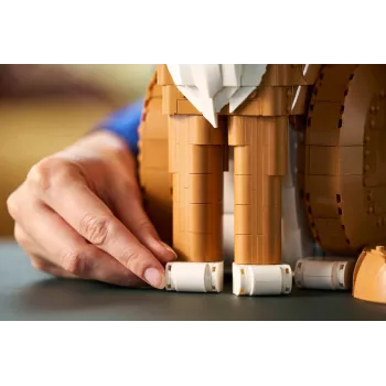 LEGO IDEAS 21376 oranž Cat