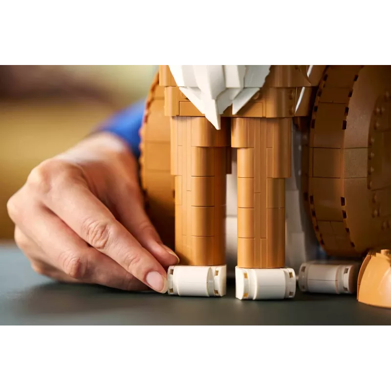 LEGO IDEAS 21376 oranž Cat