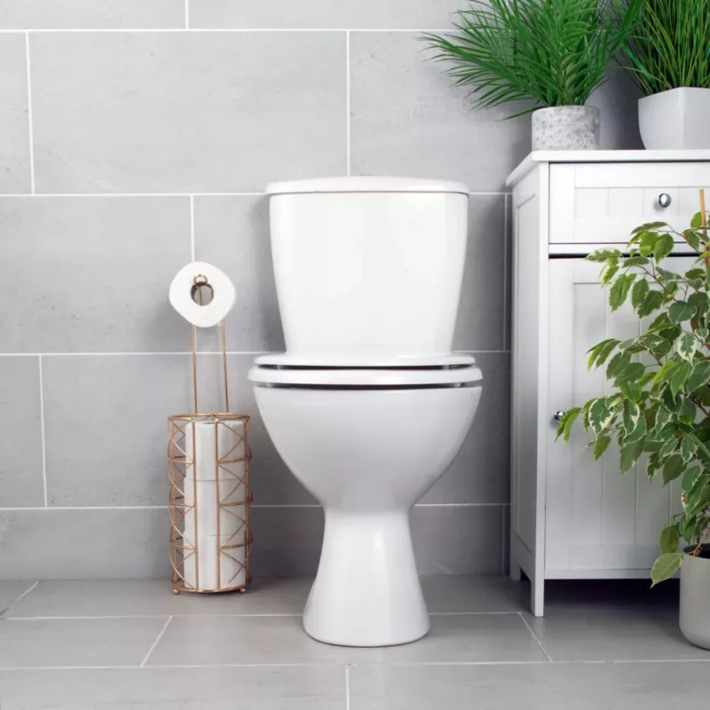 WC-pott Beldray LA030252UFFEU7 — antibakteriaalne, kergesti puhastatav disain