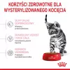Kuiv kassitoit Royal Canin Kitten Sterilised 3,5 kg — linnuliha, 34% valku, 12% rasva