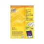 Isekleepuvad sildid Avery Universal 105x148mm Roheline
