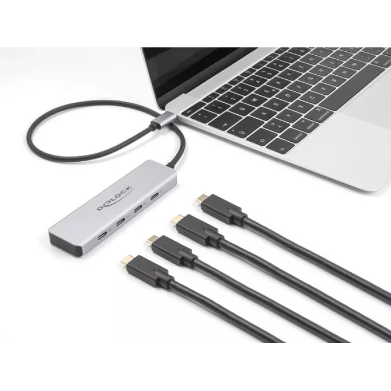 DeLOCK USB USB-C jaotur 10 Gbps 4 porti, alumiiniumist, hall