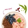 BOSCH Sanabelle Adult Chicken & Blueberries - kuiv kassitoit - 2kg