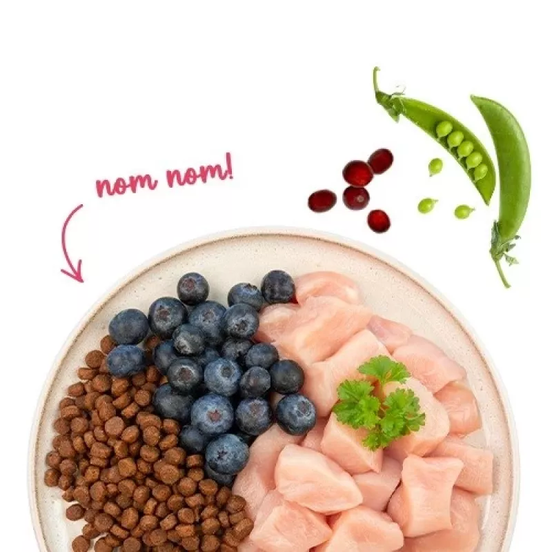 BOSCH Sanabelle Adult Chicken & Blueberries - kuiv kassitoit - 2kg