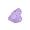 NATEC Crake 2 hiir Universaalne Paremakäeline RF-juhtmevaba + Bluetooth Optiline 2400 DPI