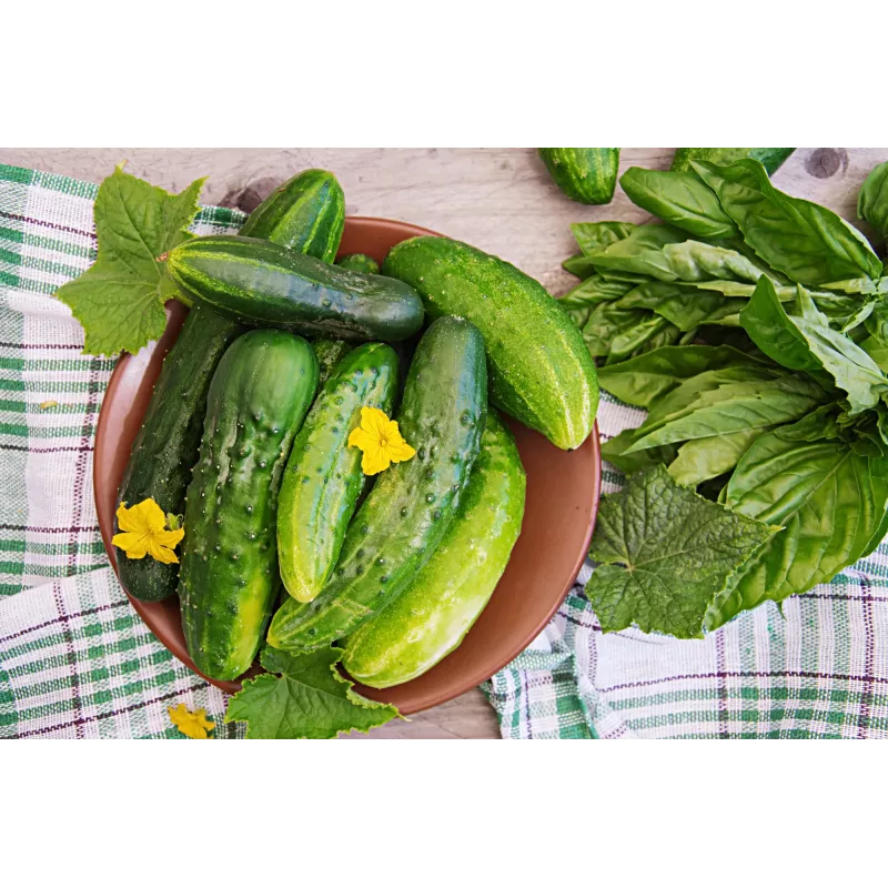 Srem Cucumber F1 Torafi köögiviljaseemned, 5 g pakend