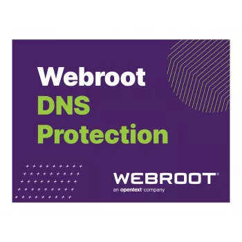 Webroot | DNS-i kaitse GSM-konsooliga | 2 aasta(t) | Litsentsi kogus 1-9 kasutaja(t)