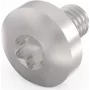 Schroff Torx-kruvi M4X6 E/PRO (100 tk/komplekt) (24560151)