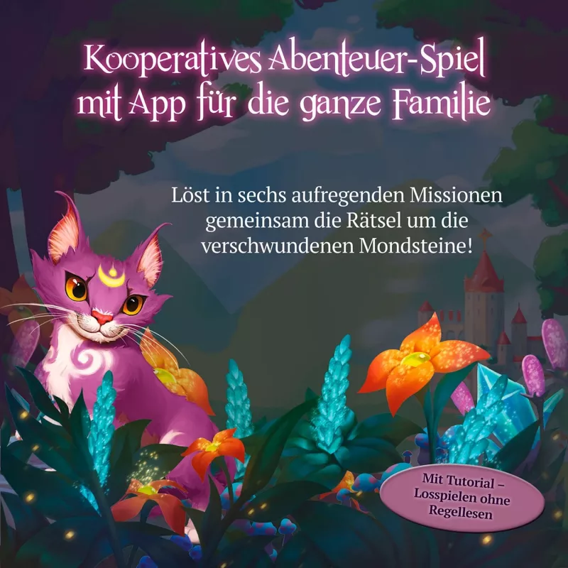 Kids Chronicles - Search for the Moonstones, lauamäng