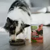 ANIMAL ISLAND Mono-Protein Turkey for Dogs 300g