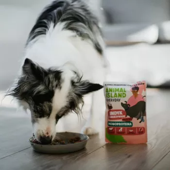 ANIMAL ISLAND Mono-Protein Turkey for Dogs 300g