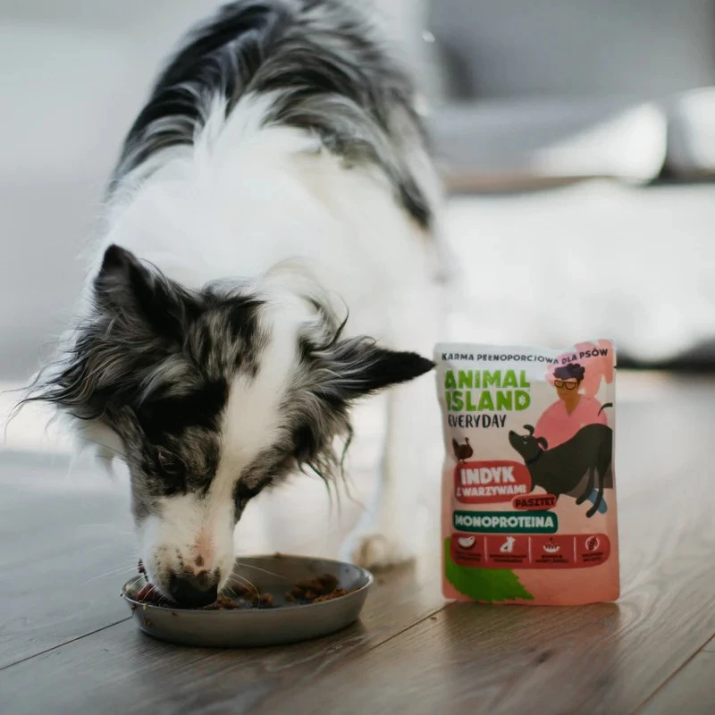 ANIMAL ISLAND Mono-Protein Turkey for Dogs 300g