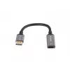 Lanberg AD-DP-HD-04 videokaabli adapter 0,2 m DisplayPort HDMI