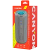 Canyon CNE-CBTSP15BG kaasaskantav kõlar beež