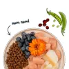 BOSCH Sanabelle Adult Trout & Blueberries - kuivtoit kassidele - 2 kg