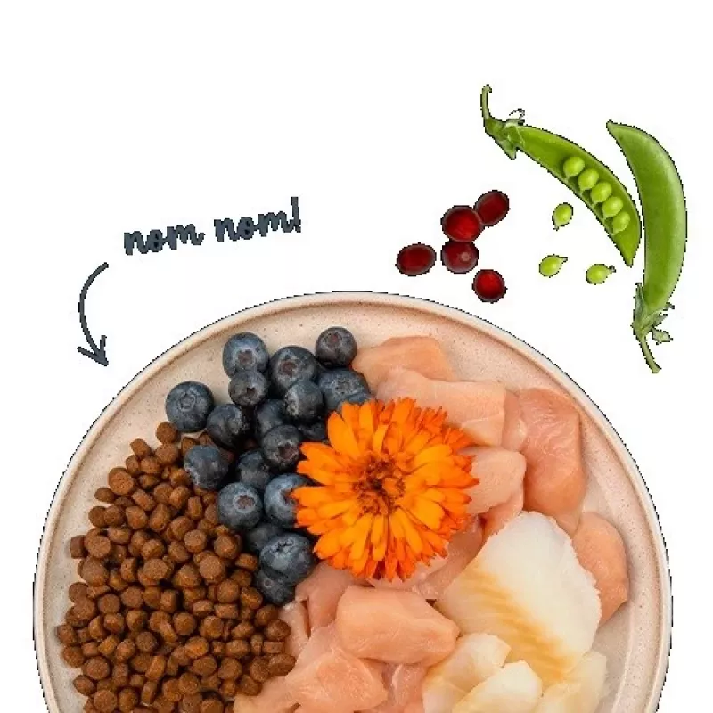 BOSCH Sanabelle Adult Trout & Blueberries - kuivtoit kassidele - 2 kg