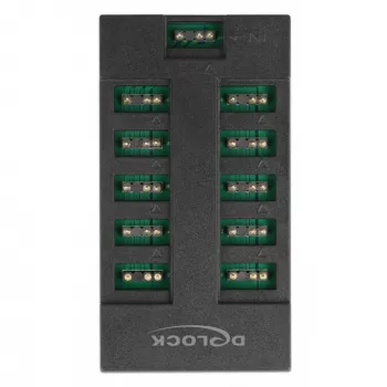 Delock - RGB LED valgusjaotur - 10 porti - Must (64128)