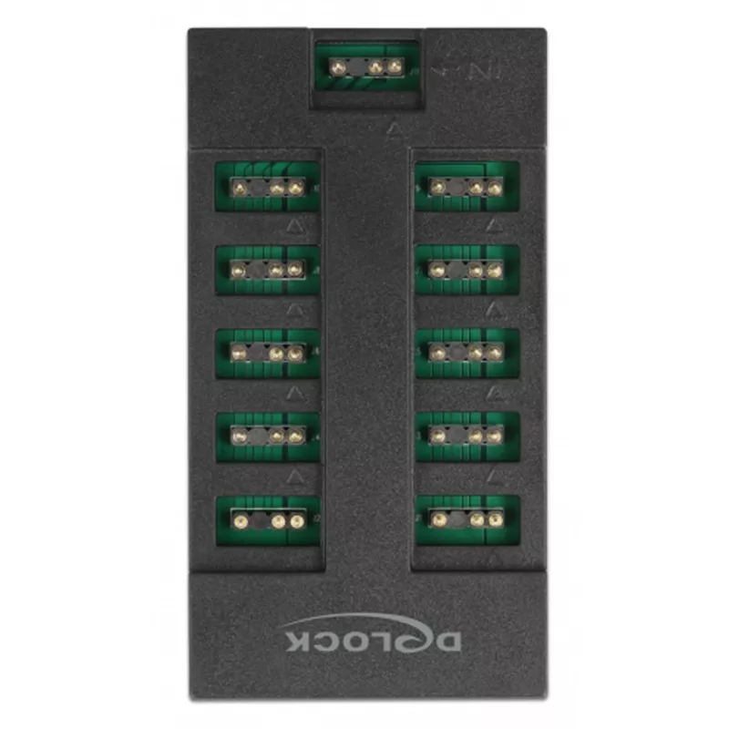 Delock - RGB LED valgusjaotur - 10 porti - Must (64128)
