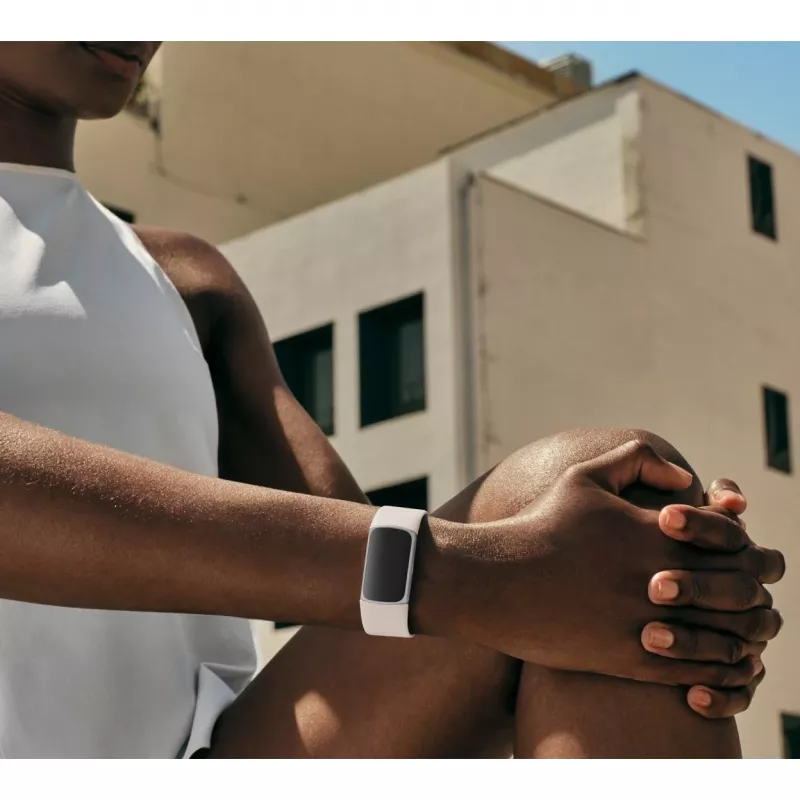 Fitbit GA05185-EU Hõbedane