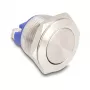Surunupplüliti DeLOCK 22040 2P Nikkel Roostevaba teras 250V 5A