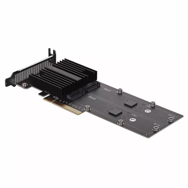 Synology M2D20 liidesekaart/adapter Sisemine PCIe