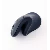 Gembird MUSW-ERGO-03 hiir Kodu Paremakäeline RF Juhtmevaba Optiline 1600 DPI