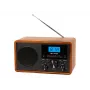 Kaasaskantav analoograadio AM/FM BLOW RA9 V.2 — AM- ja FM-vastuvõtt, patareitoide, analooghäälestus