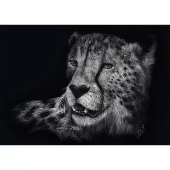 Ashley Rader: Kiirus - Gepard, Armumärgis, Pusle 1000 tükki