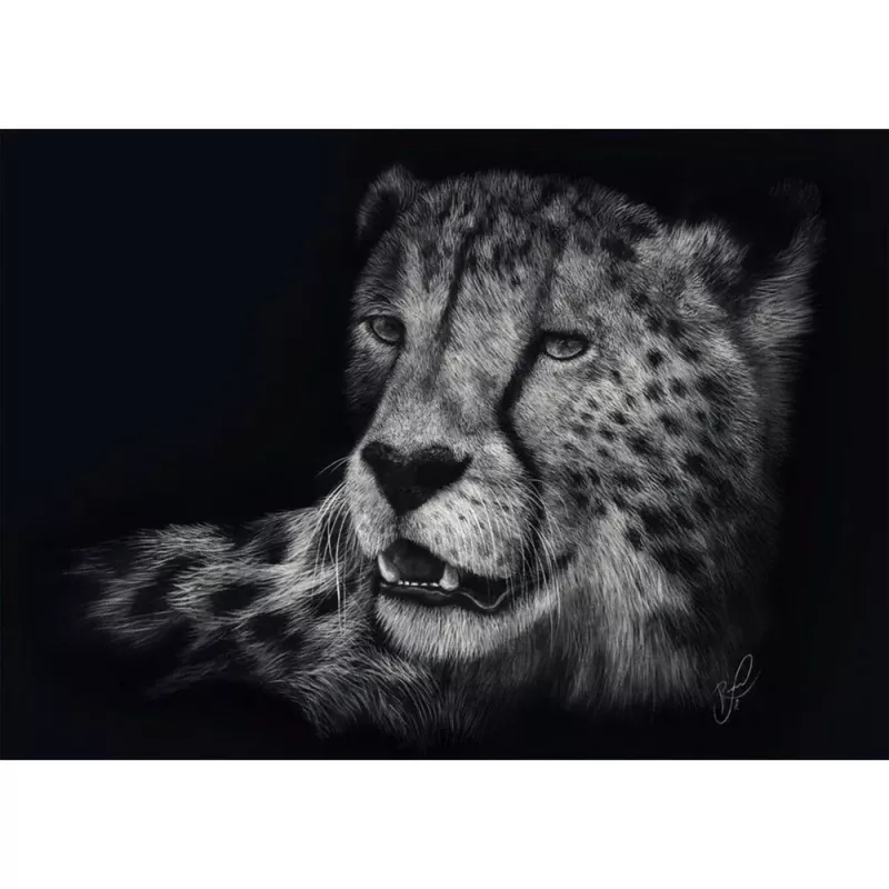 Ashley Rader: Kiirus - Gepard, Armumärgis, Pusle 1000 tükki