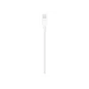 Apple Lightning-USB kaabel 1m MUQW3ZM/A