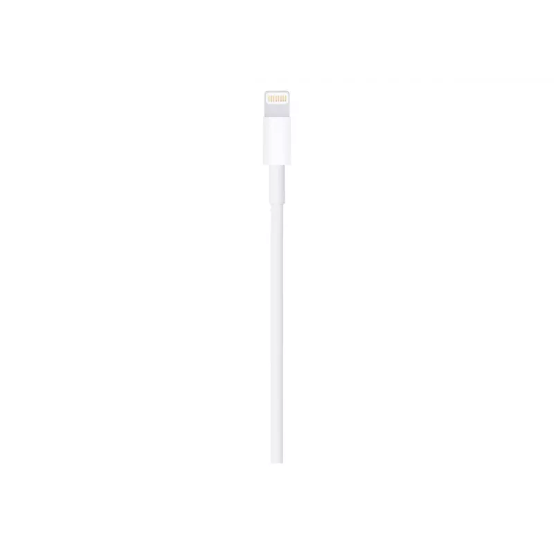 Apple Lightning-USB kaabel 1m MUQW3ZM/A