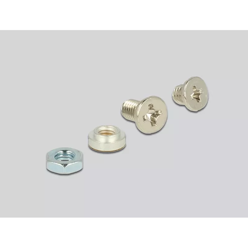 Sisemine M.2 adapter DeLOCK 62865