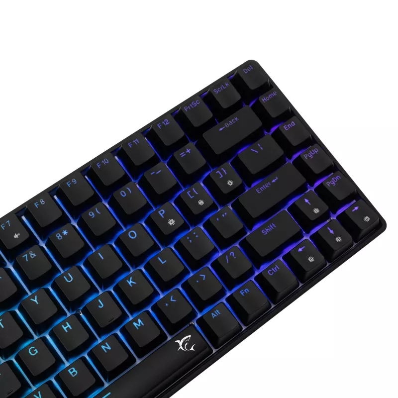 Mehaaniline klaviatuur White Shark GK-005121 RGB-valgustuse ja Blue lülititega