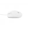 NATEC NMY-1988 hiir USB tüüp-A optiline