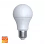 Nutipirn Denver SHL-350