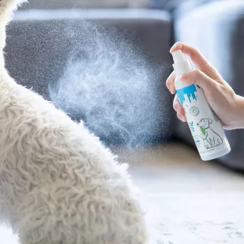 Conditioner VETEXPERT Detox Care Pure Valge 150 ml — karvkatte detoksifitseeriv, valgendav täiskasvanud valge karvkattega kassidele