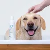 Hüpoallergeenne šampoon VETEXPERT 250 ml koertele ja kassidele — puhastav, igale karva tüübile, igas vanuses