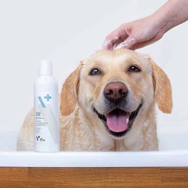 Hüpoallergeenne šampoon VETEXPERT 250 ml koertele ja kassidele — puhastav, igale karva tüübile, igas vanuses