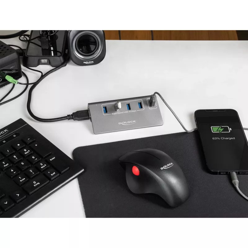 DeLOCK USB-jaotur 10 Gbps 4 A-tüüpi porti 1 kiirlaadimisport