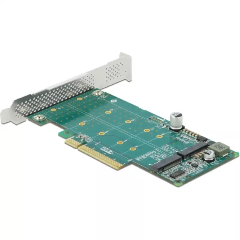 DeLOCK PCI Express x8 kaart 2-le sisemisele NVMe M.2 Key M -le, bifurkatsioon, madalprofiil