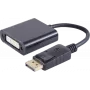 DisplayPort-DVI-adapter ShiverPeaks 14-05007 — DisplayPort 1.1 DVI-ks 24+5