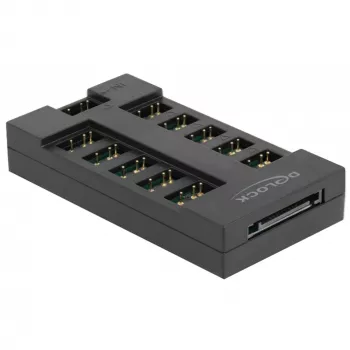 Delock - RGB LED valgusjaotur - 10 porti - Must (64128)