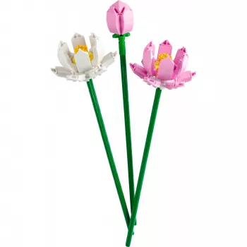 LEGO ehituskomplekt LEGO 40647 Lootoseõied — Botanical Collection modulaarne mudel, 220 detaili, kõrgus 300 mm, vanusele 8+
