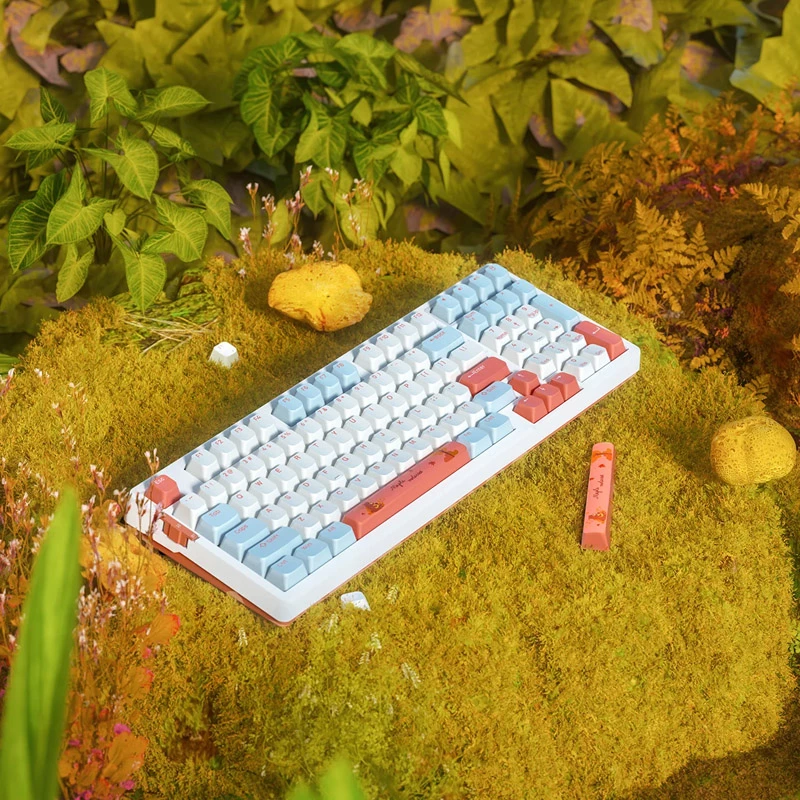 VGN V98 Pro mänguklaviatuur, Box Autumn - Maple Sugar Limited Edition (US)