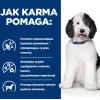 HILL'S PD Canine Urinary Care C/D - märg koeratoit - 370 g