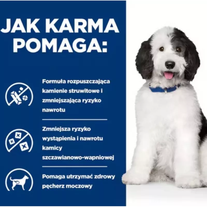 HILL'S PD Canine Urinary Care C/D - märg koeratoit - 370 g