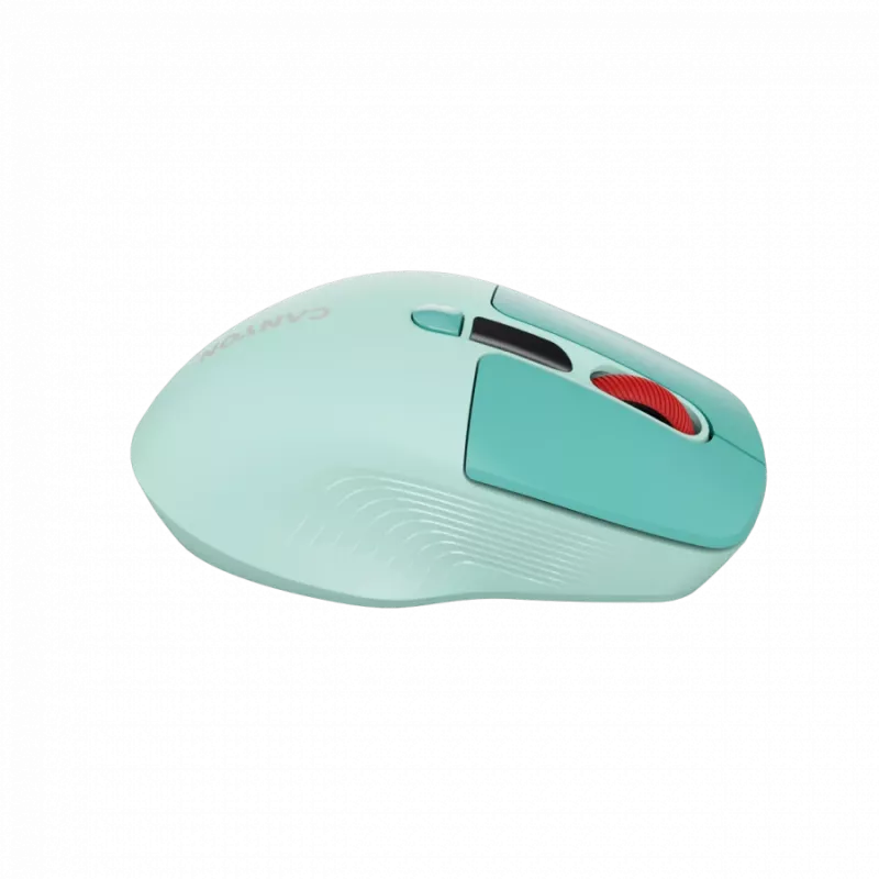 Canyon MW-26 - 2in1 juhtmevaba optiline hiir Bluetooth / 2,4 GHz - vaikne - roheline