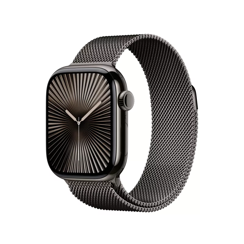Band Apple 42mm Slate Milanese Loop hall